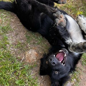 Meet your Posher, Francisco